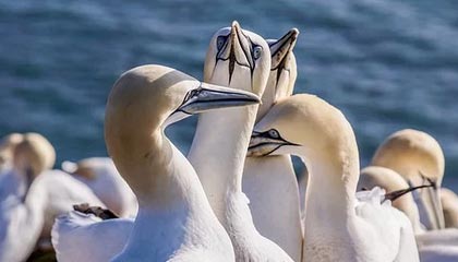 开云注册网址-澳网混双第二轮 张帅/普茨组合憾负对手无缘晋级