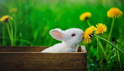 开云注册网址-澳网混双第二轮 张帅/普茨组合憾负对手无缘晋级